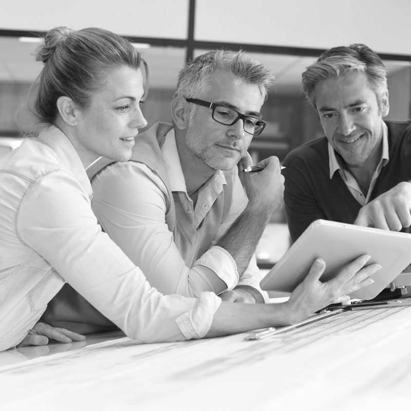 ProjektSW-800x800 (2)